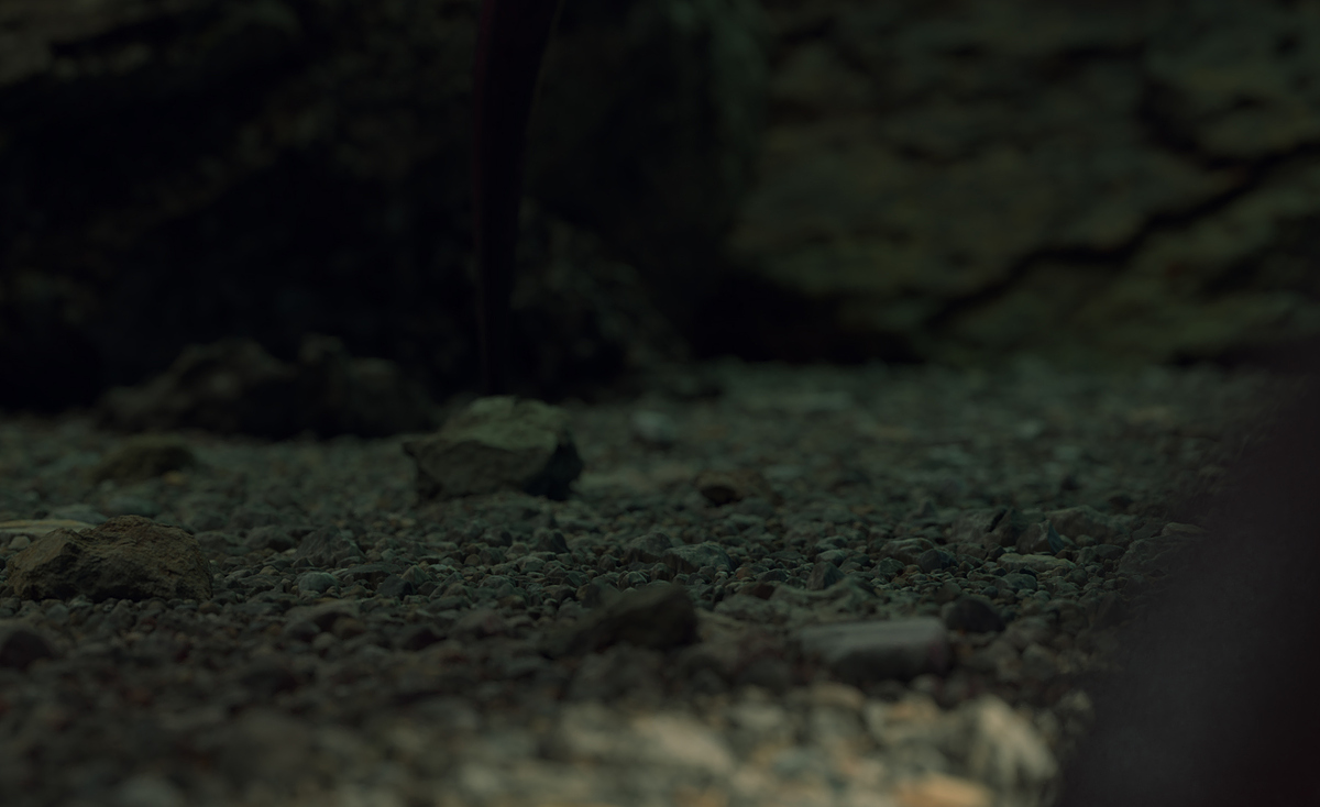 close_up_pedrasB