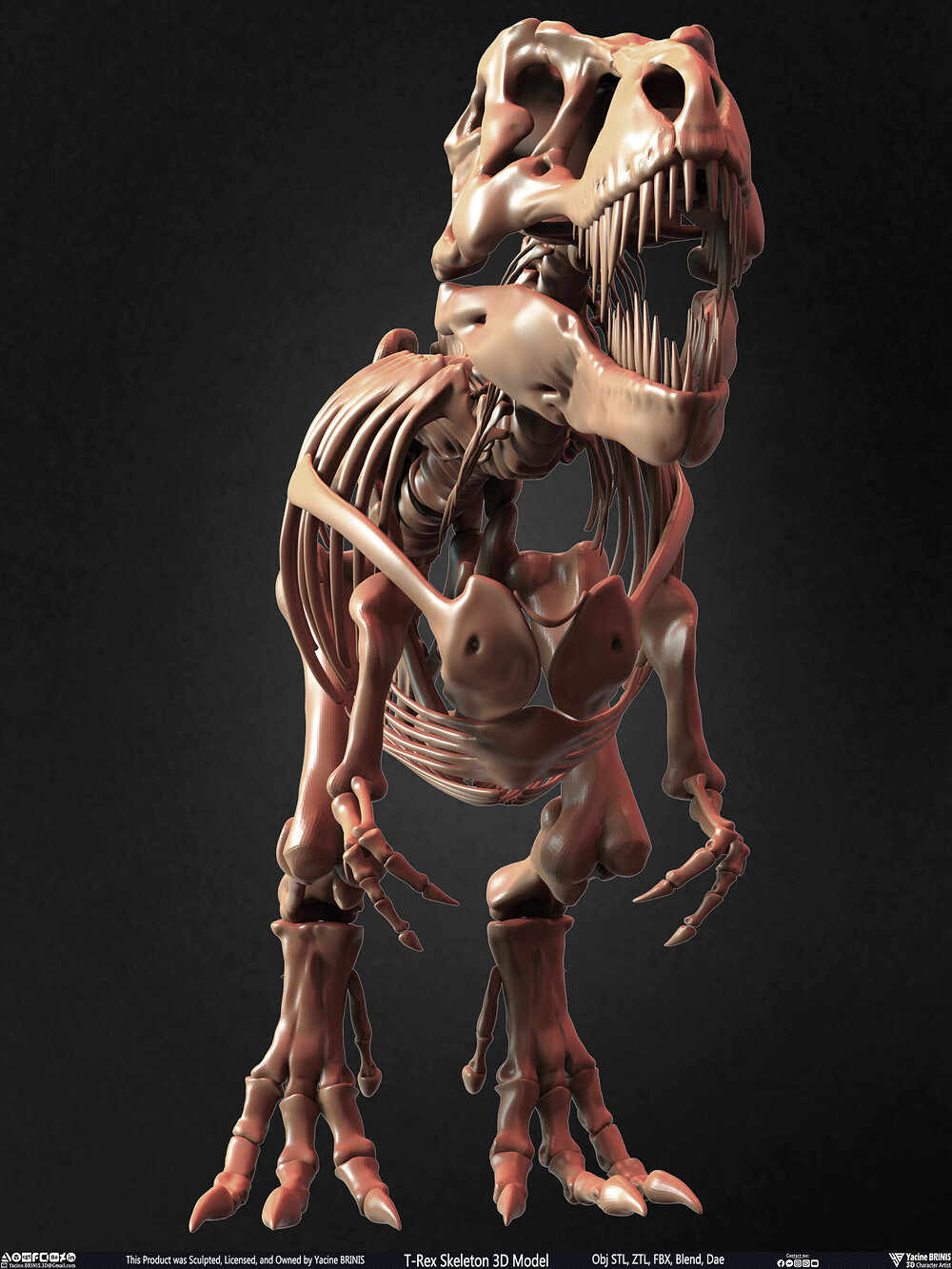 T-Rex Skeleton 3D Model (Tyrannosaurus Rex) Sculpted By Yacine BRINIS Set 023
