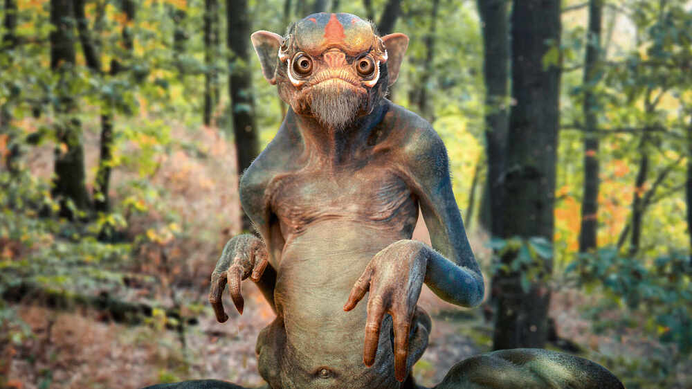 EL PEPILLO
