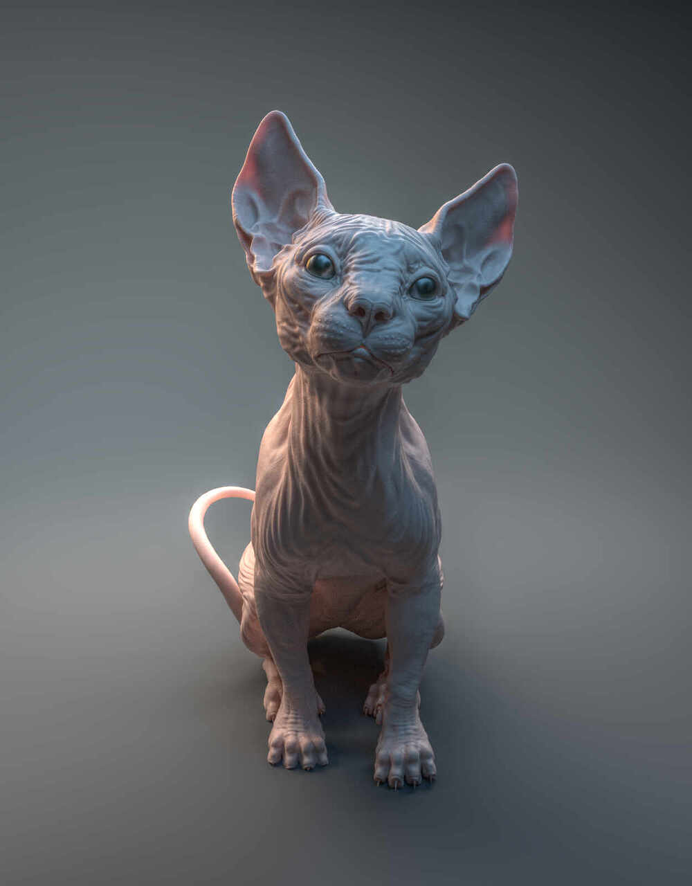 Cat_Presentation_1_0009
