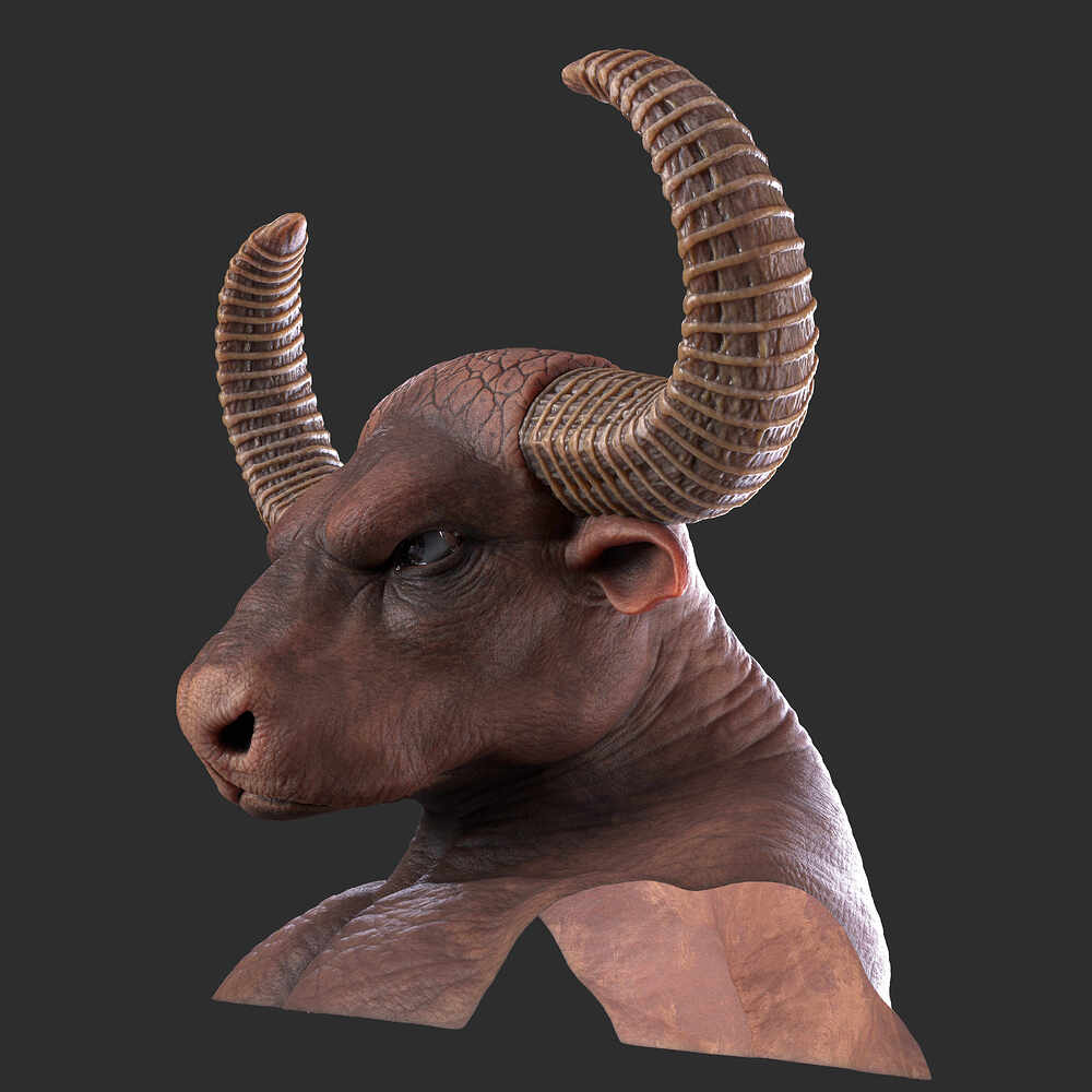Bison_27