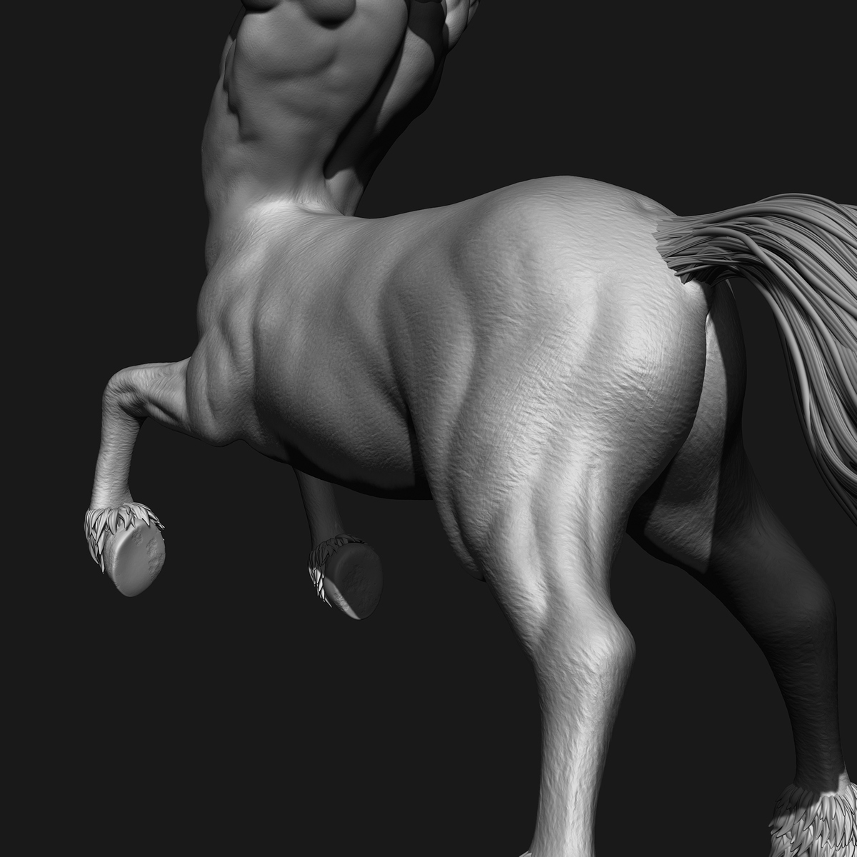 zbrush3