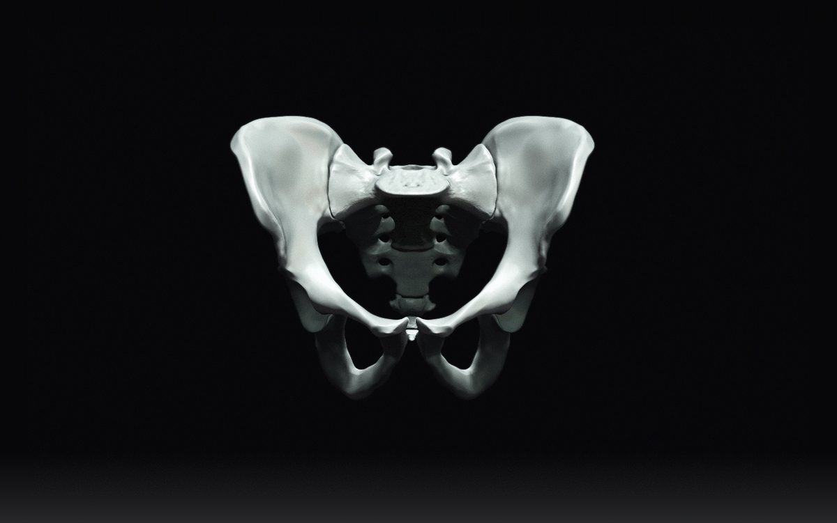 Pelvis