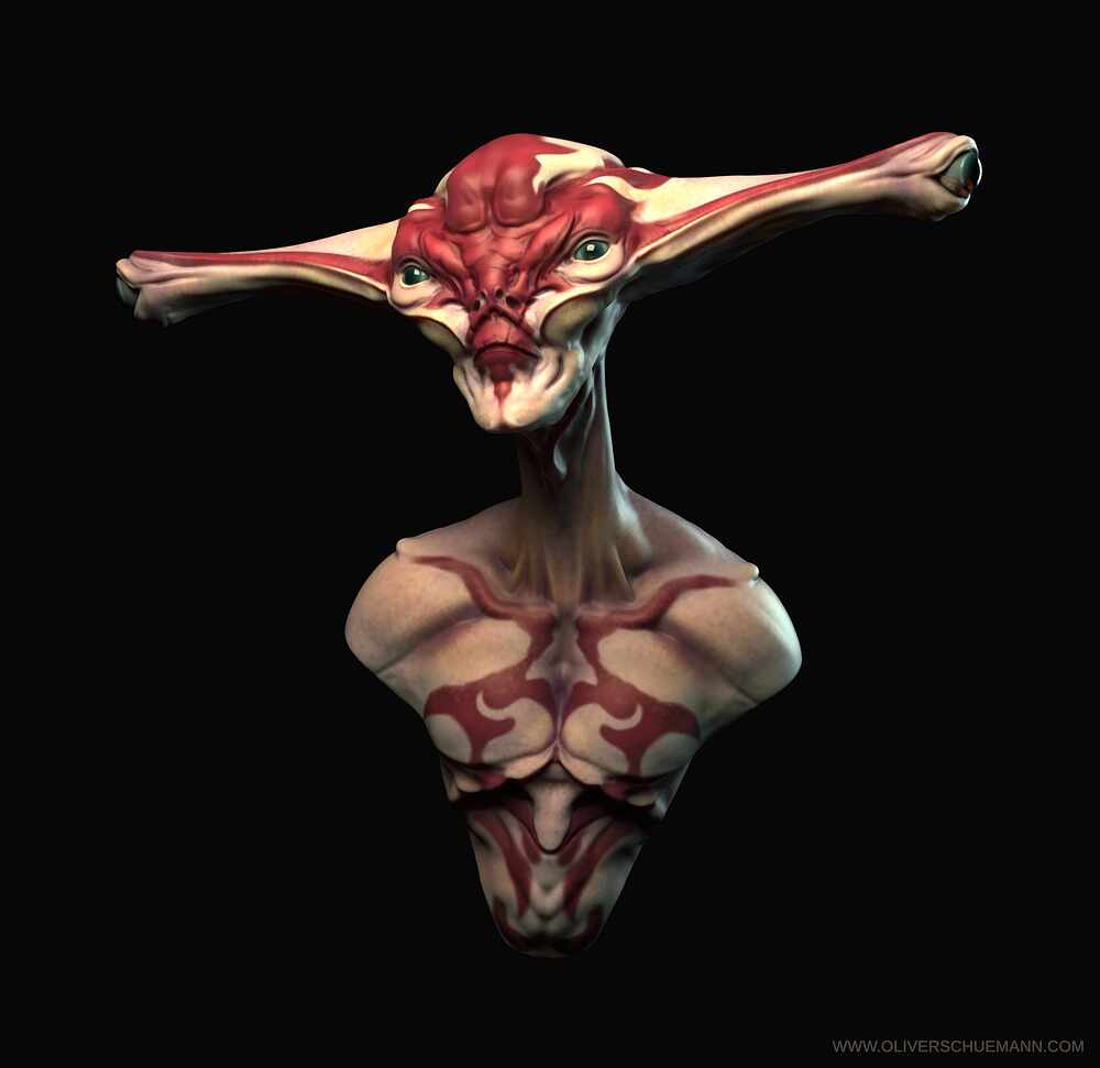 Bust_redesign01