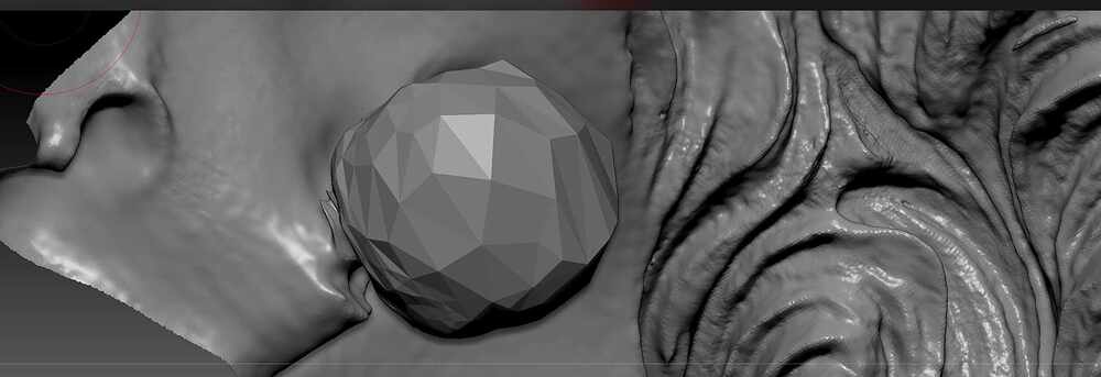 eye_cavity