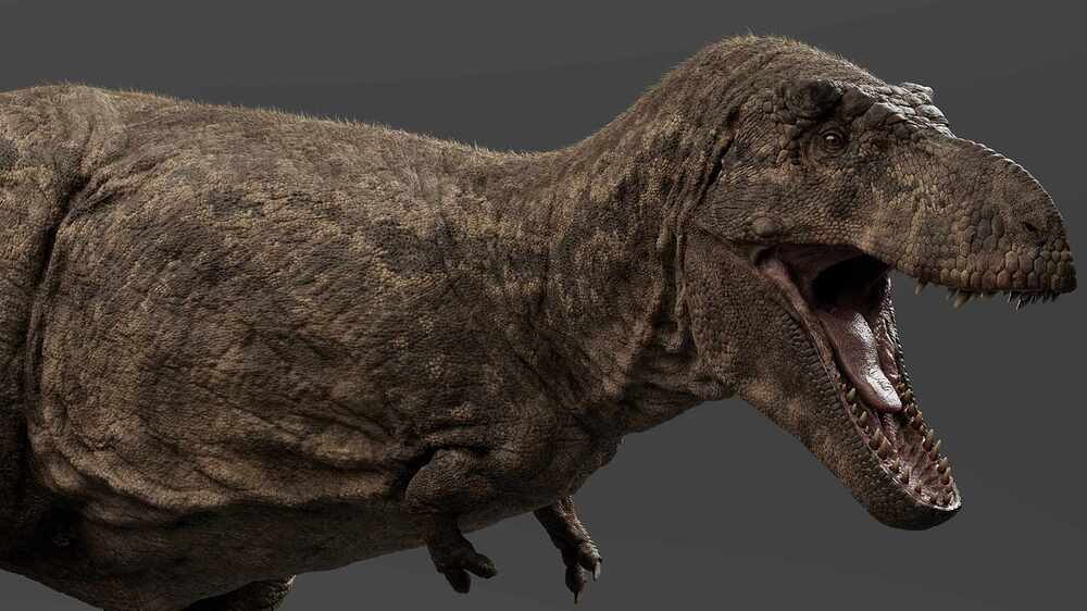 Trex_cap05