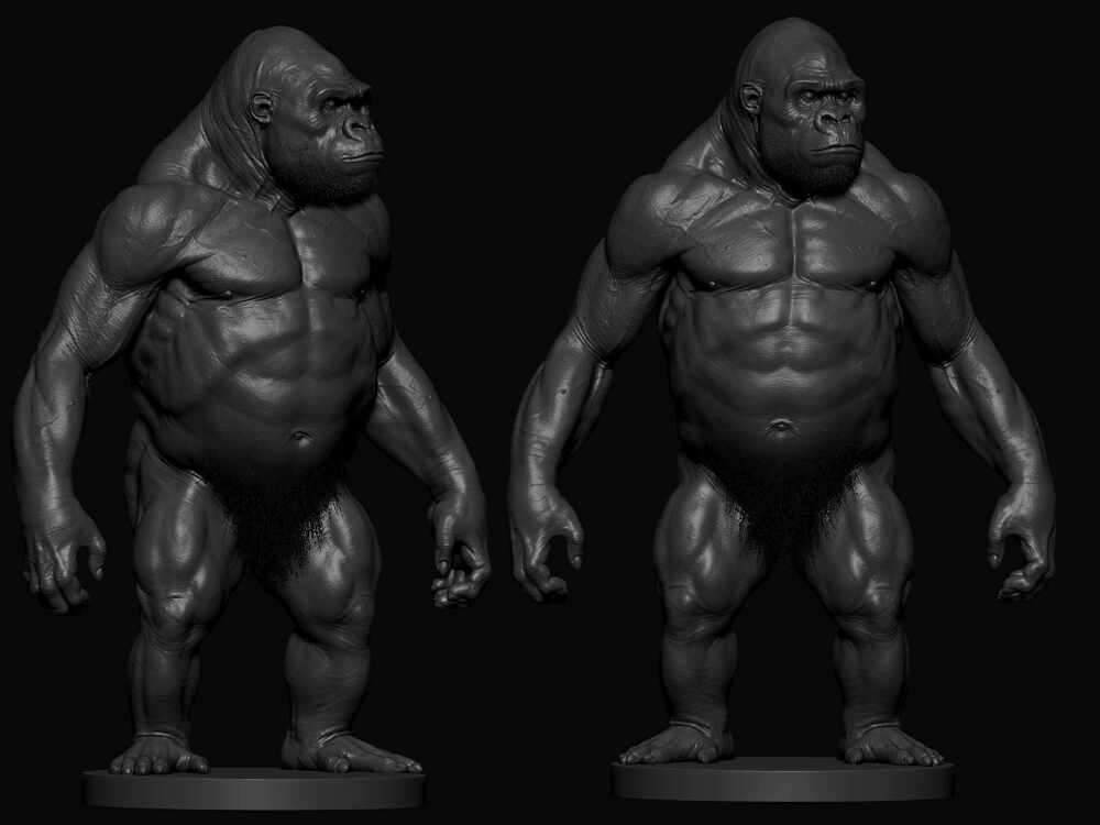 Ape Anatomy Practise 07