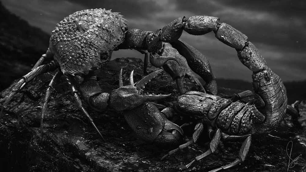 Clash of the Primordial Forms_Digital_Sculpture_SurajitSen_March2026_BW