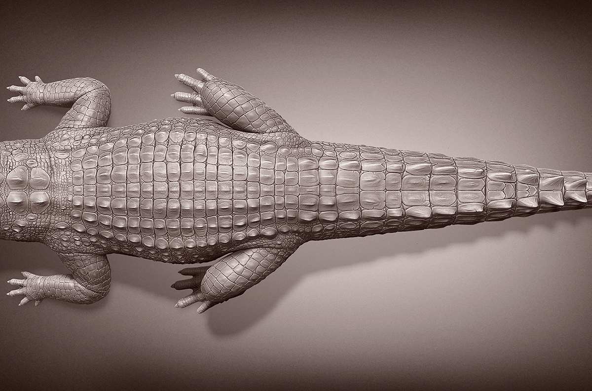 Pallimnarchus_02.jpg