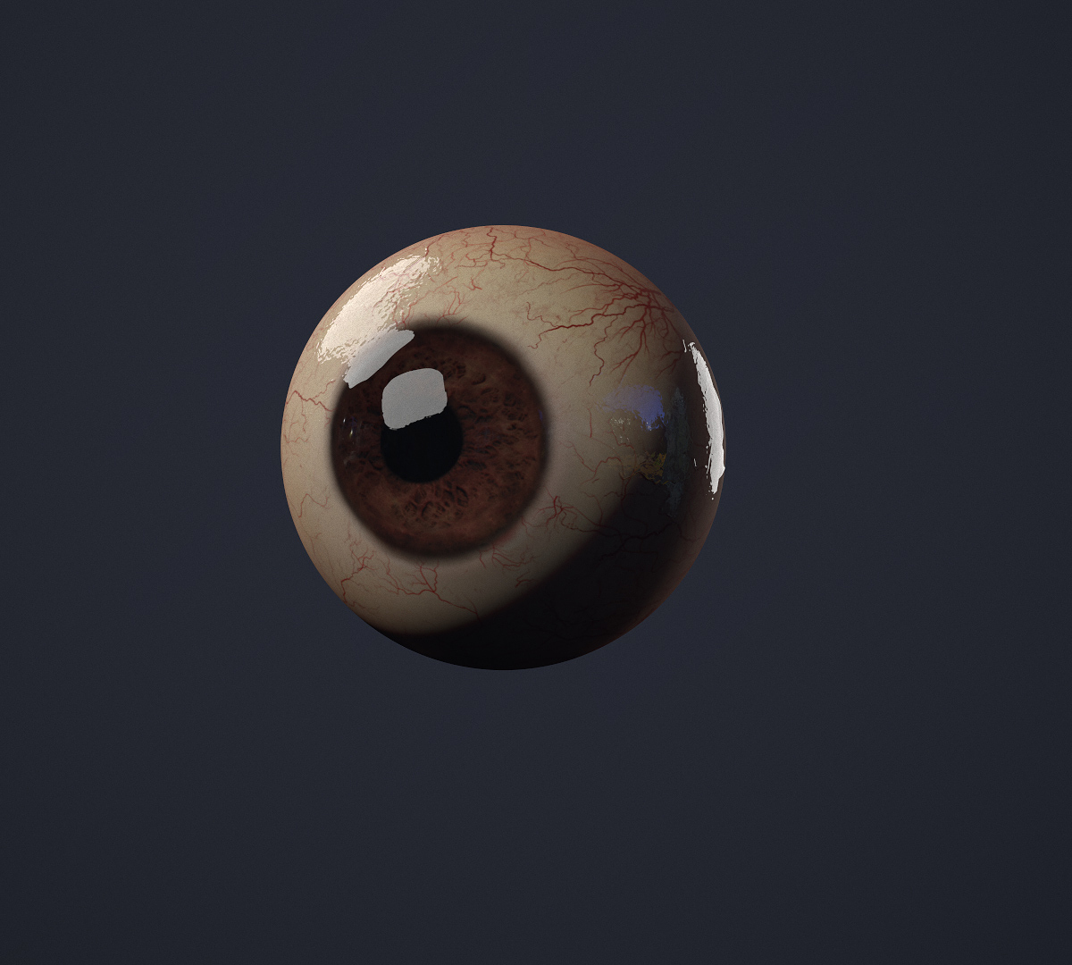 Eye01.jpg