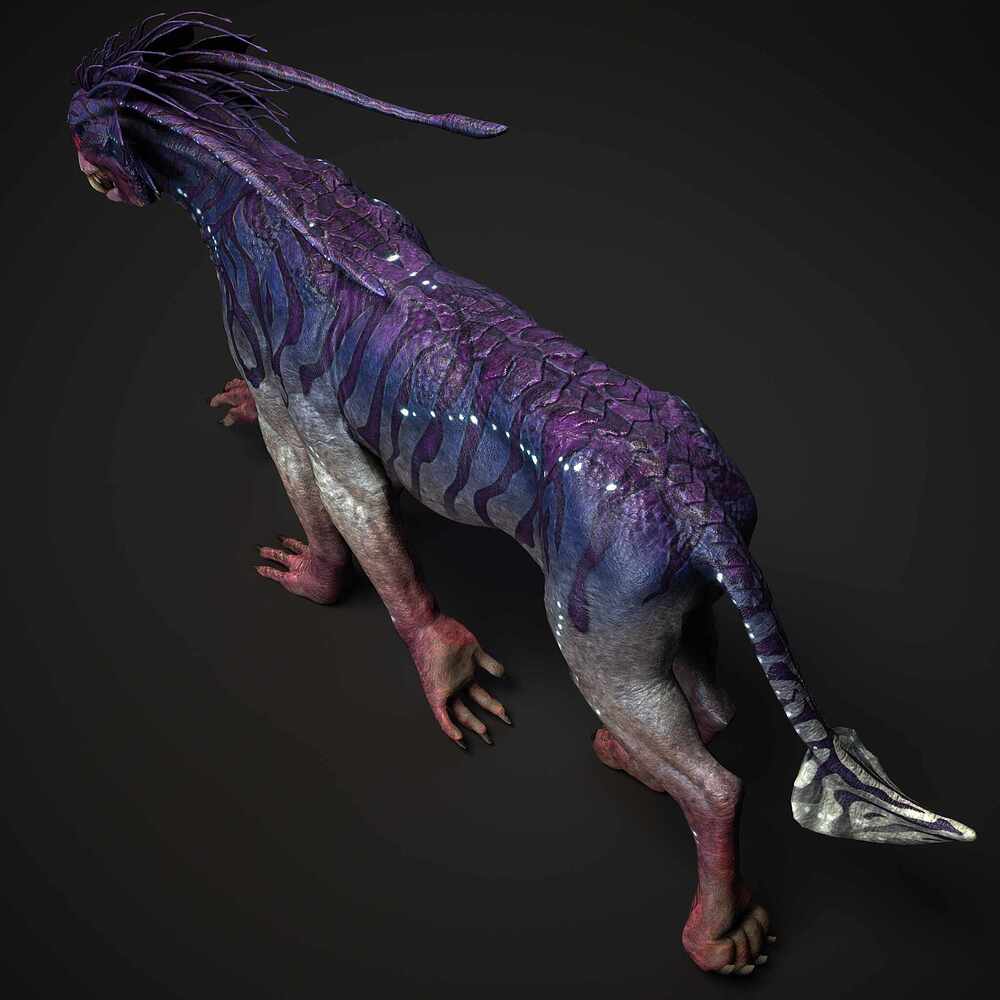 06