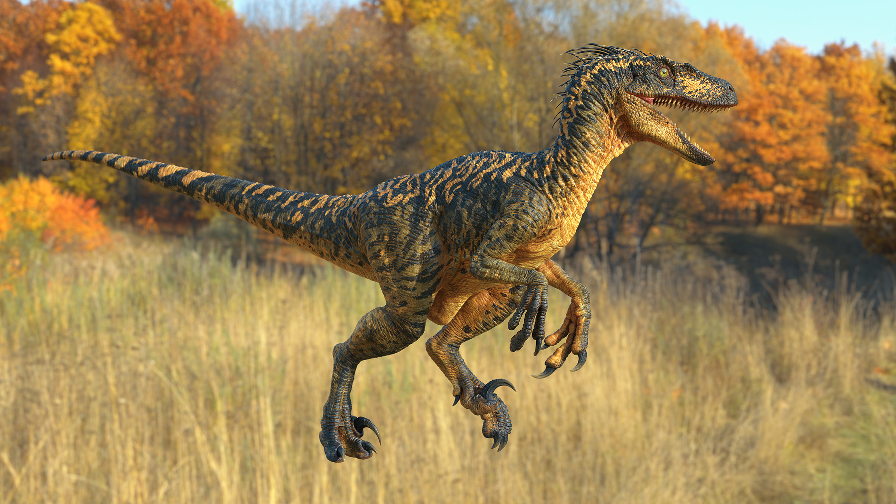 utah raptor