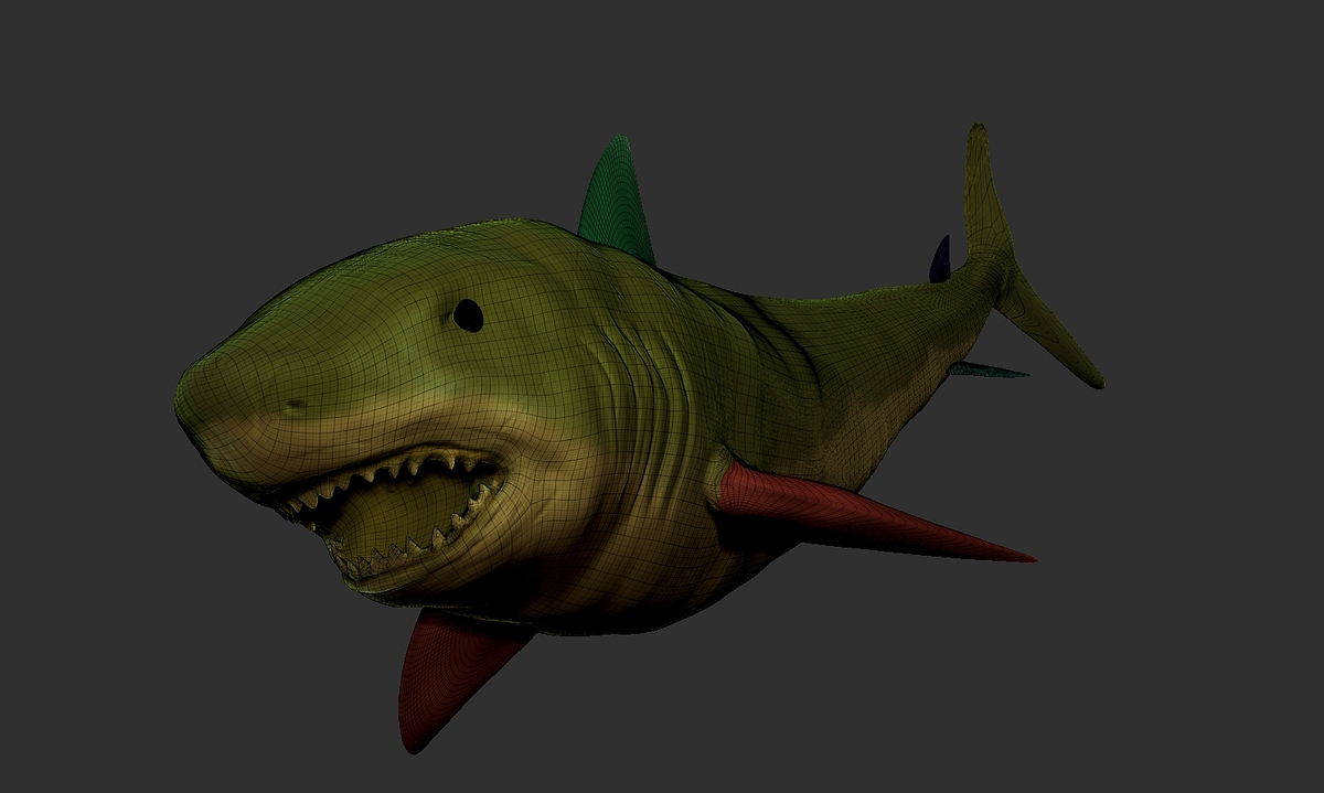 shark maillage