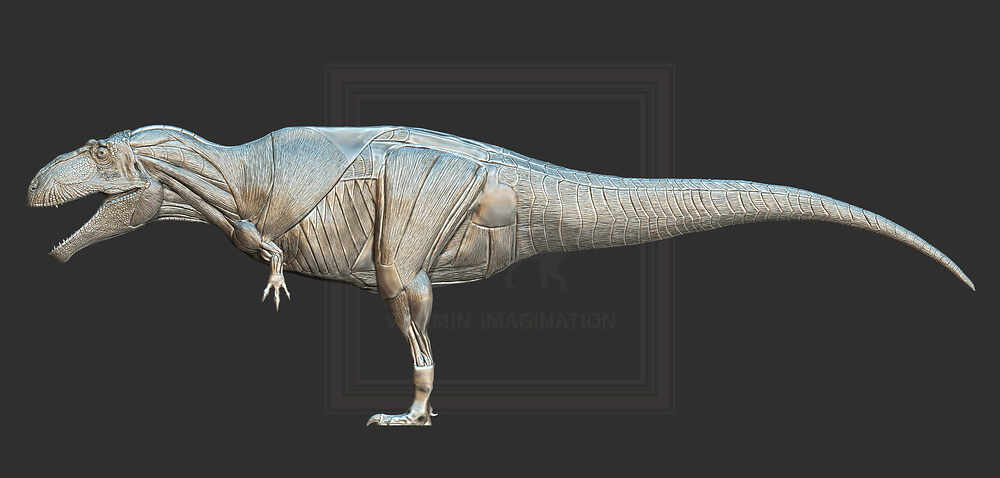 ZBrush Document5