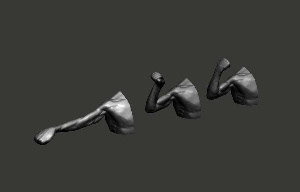 Arm_01_ZB_3q
