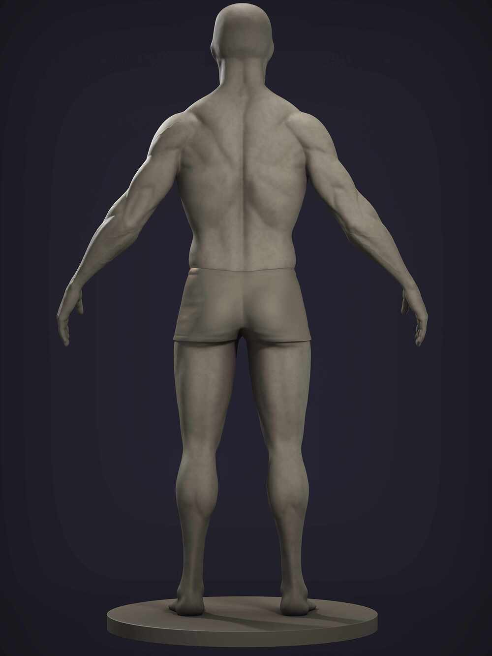 anatomy02