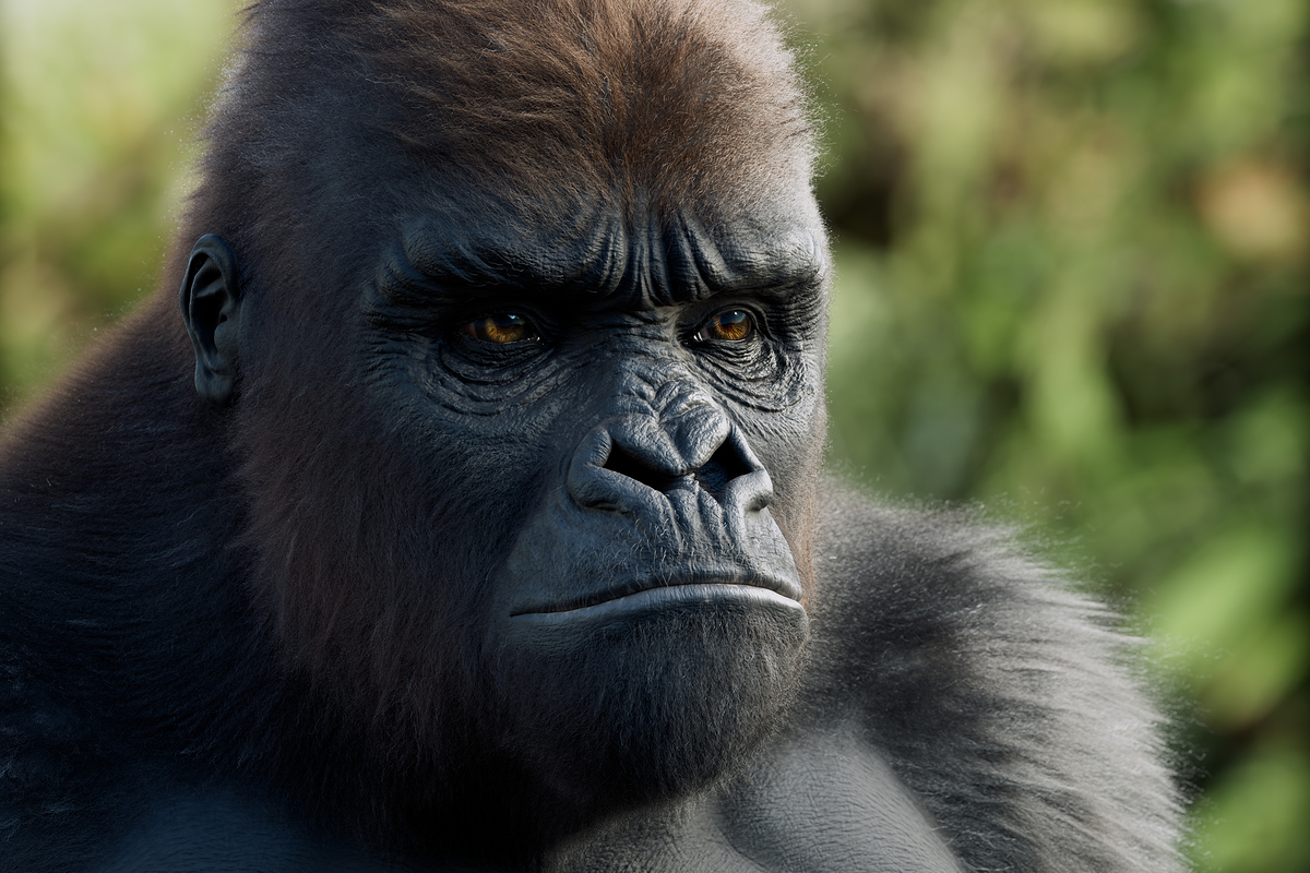 Gorilla_CloseUp_01