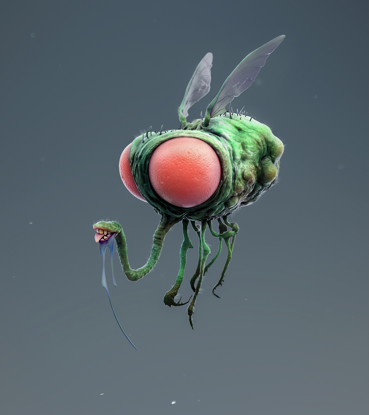 FLY_Bld