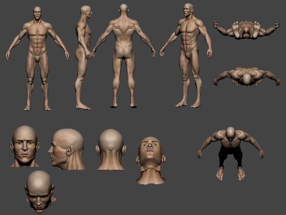 Base_Male_Color_vistas