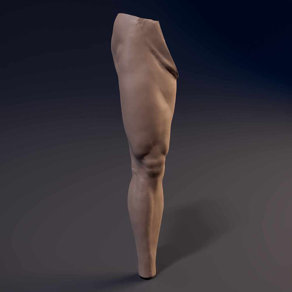 Leg_Straith_Cam_01