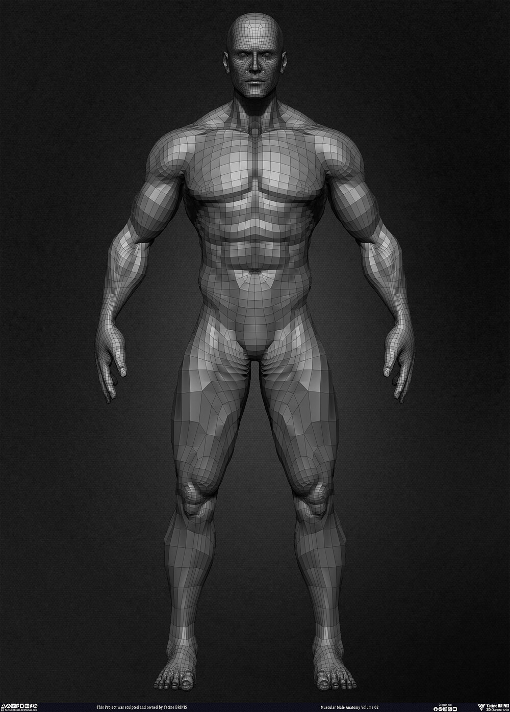 Muscular Male Anatomy Volume 2 3D Character sculpted by Yacine BRINIS 015