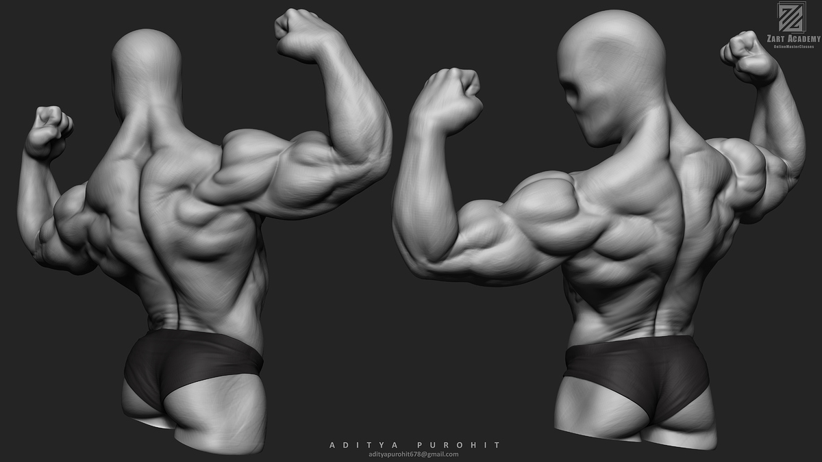 Anatomy_Study_05