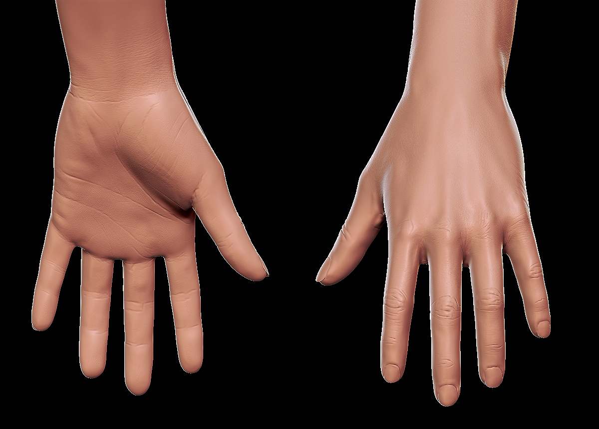 HandZbrush.jpg