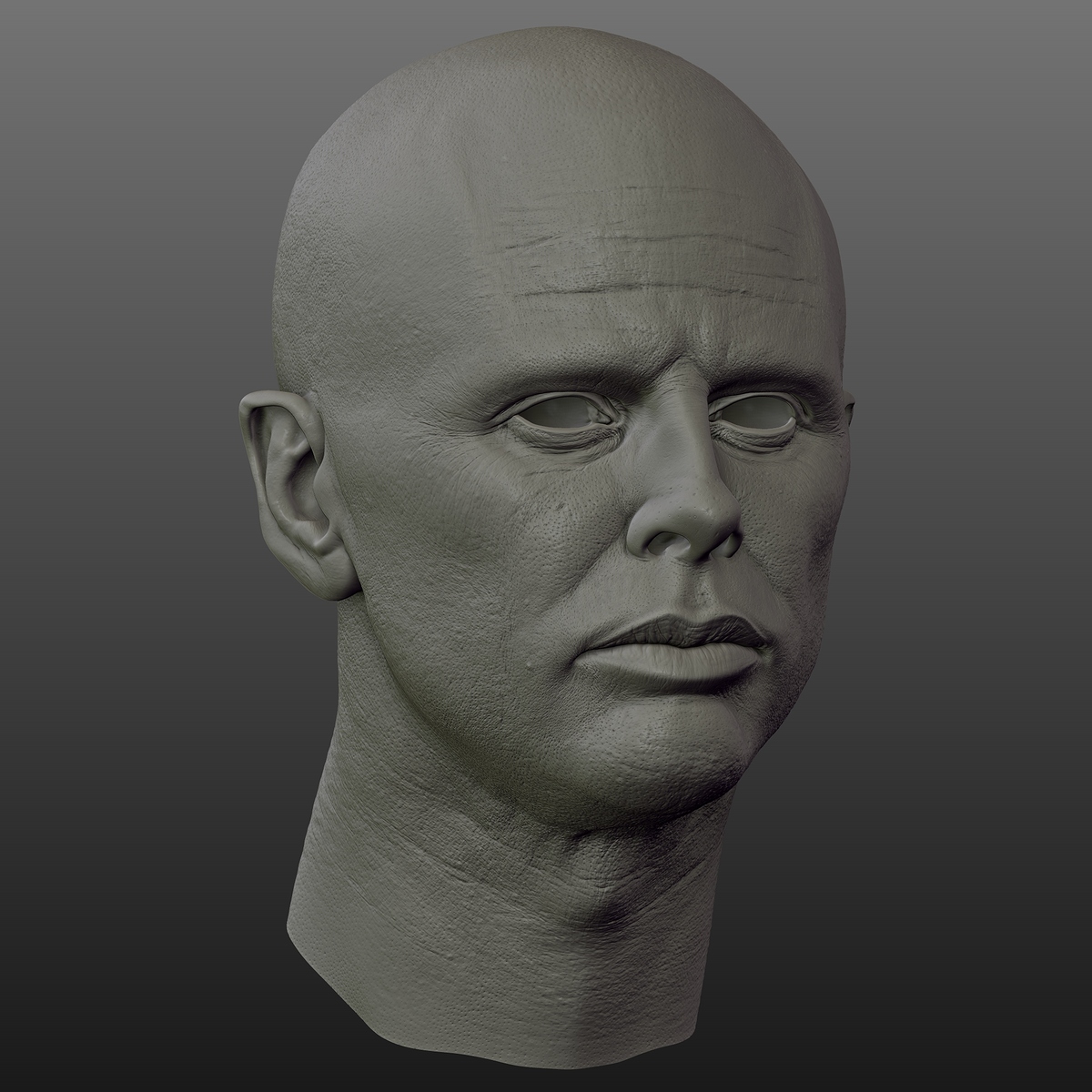 ZBrush Document