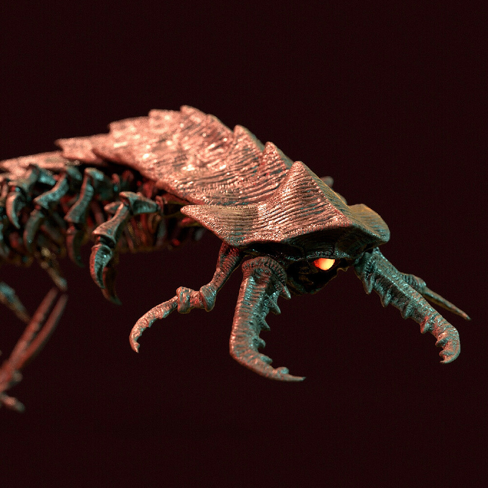 dirk-wachsmuth-insta-centipede-b-05