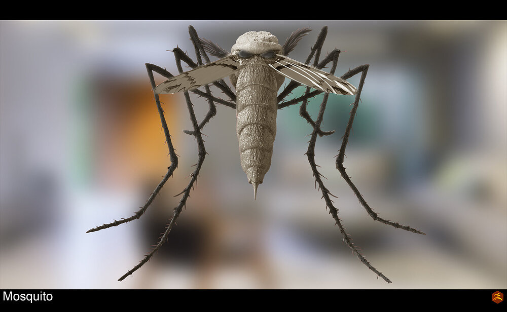 mosquito_004