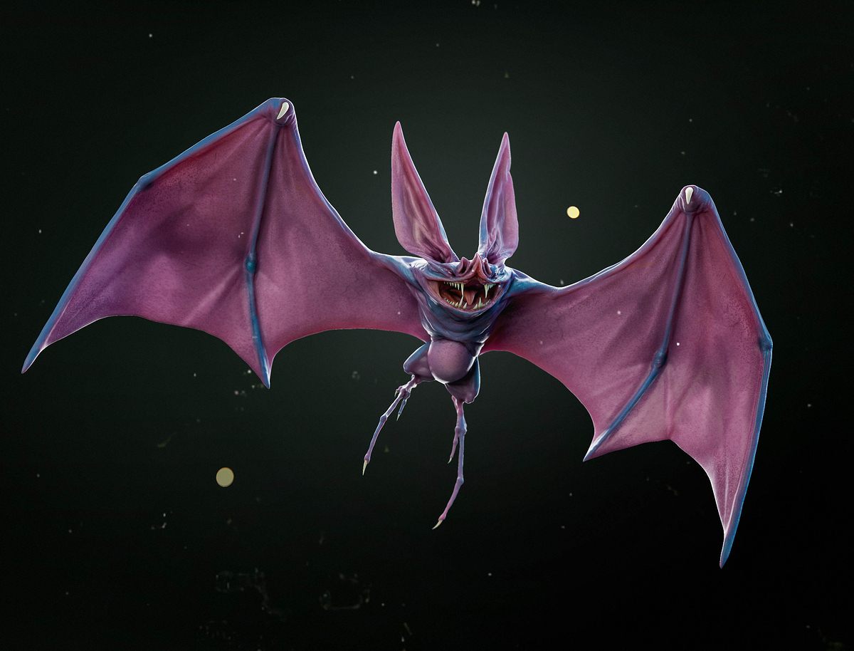 Zubat_Bld