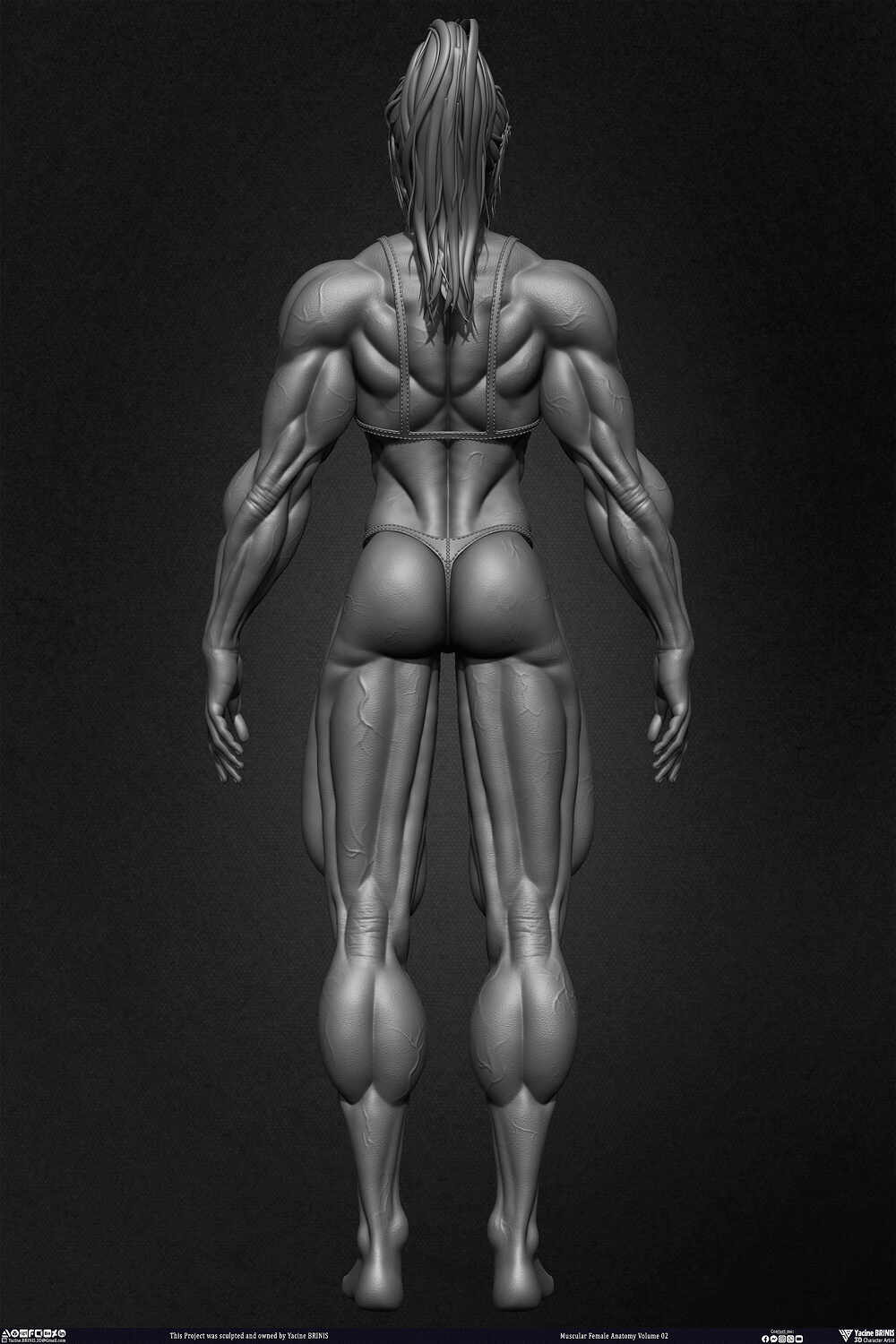 Muscular Female anatomy Volume 02 sculpted by Yacine BRINIS 004