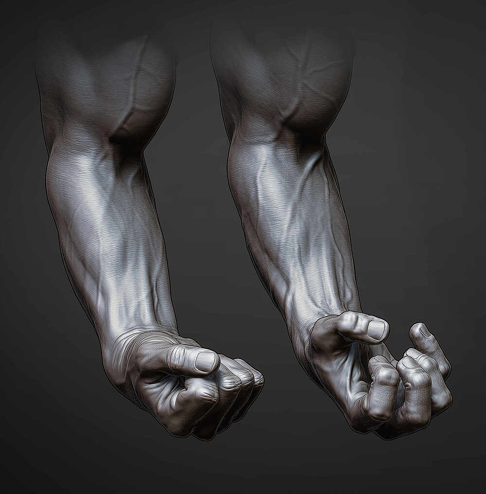 arms2