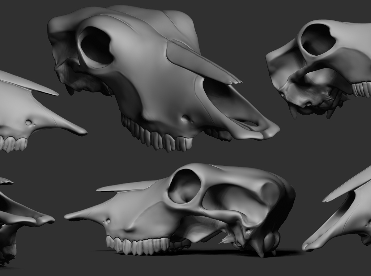 Skull2.jpg