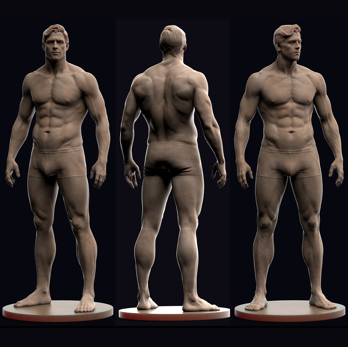 male anatomy combine2