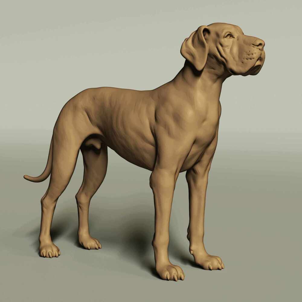 render f