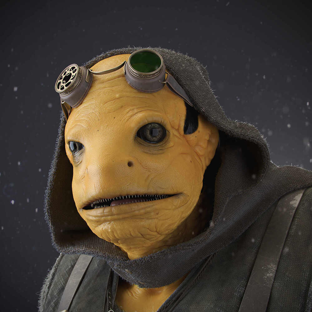 Salamander_001