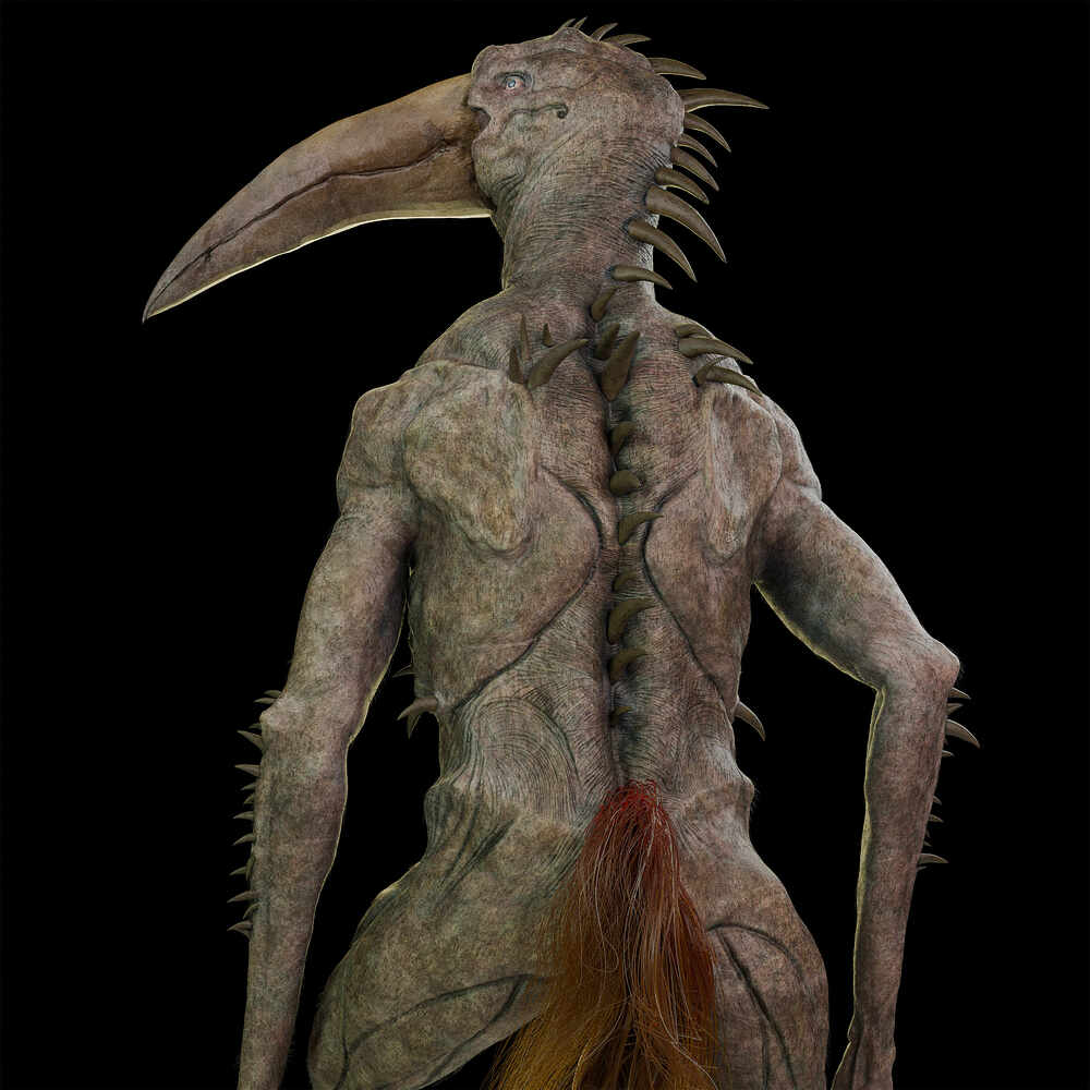 High_Res_Portrait_Back_render