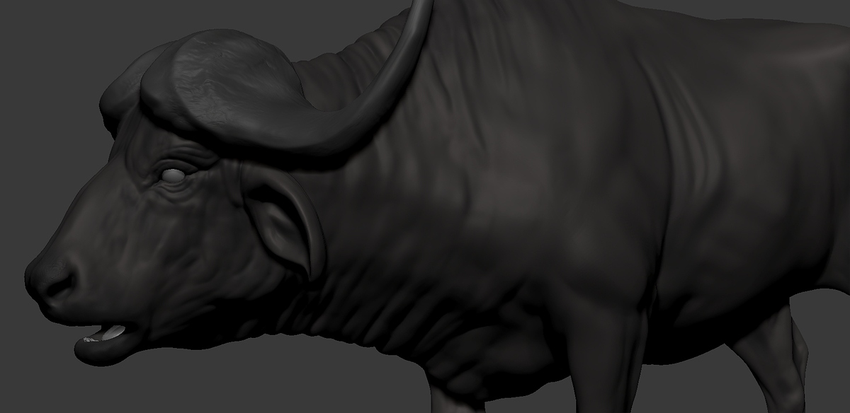 ZBrush Documnment