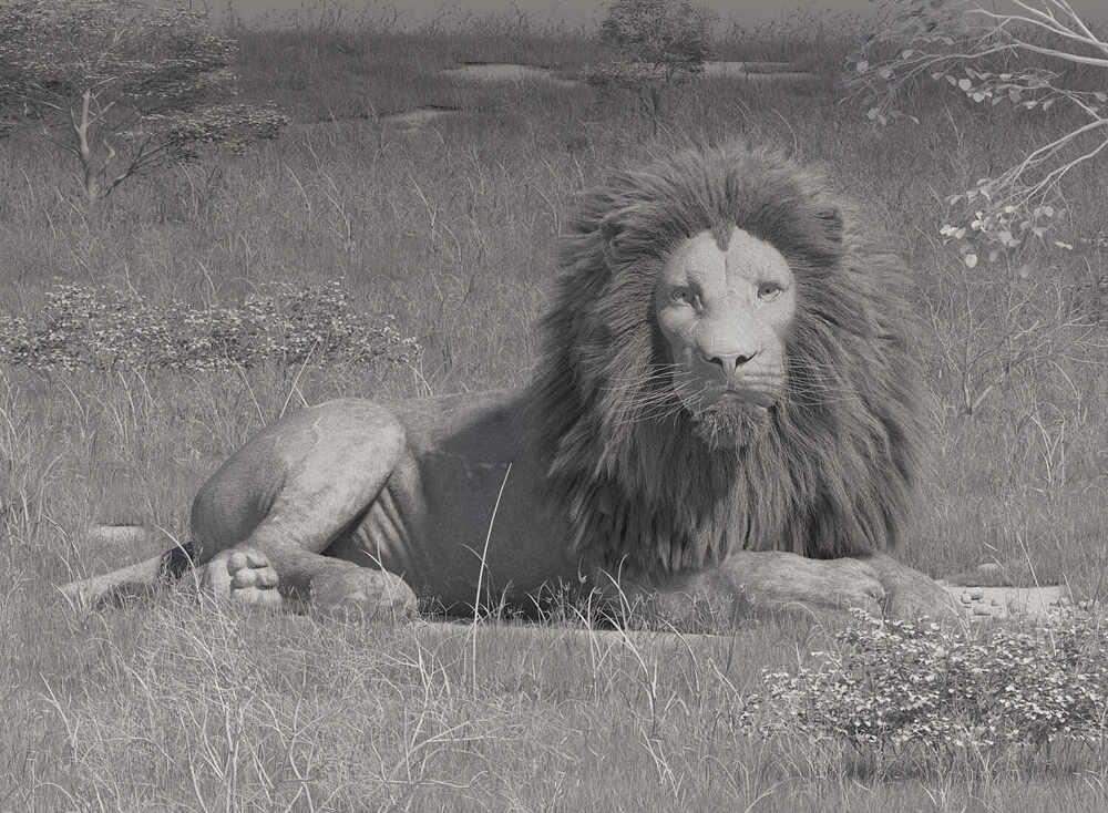 Lion_Clay