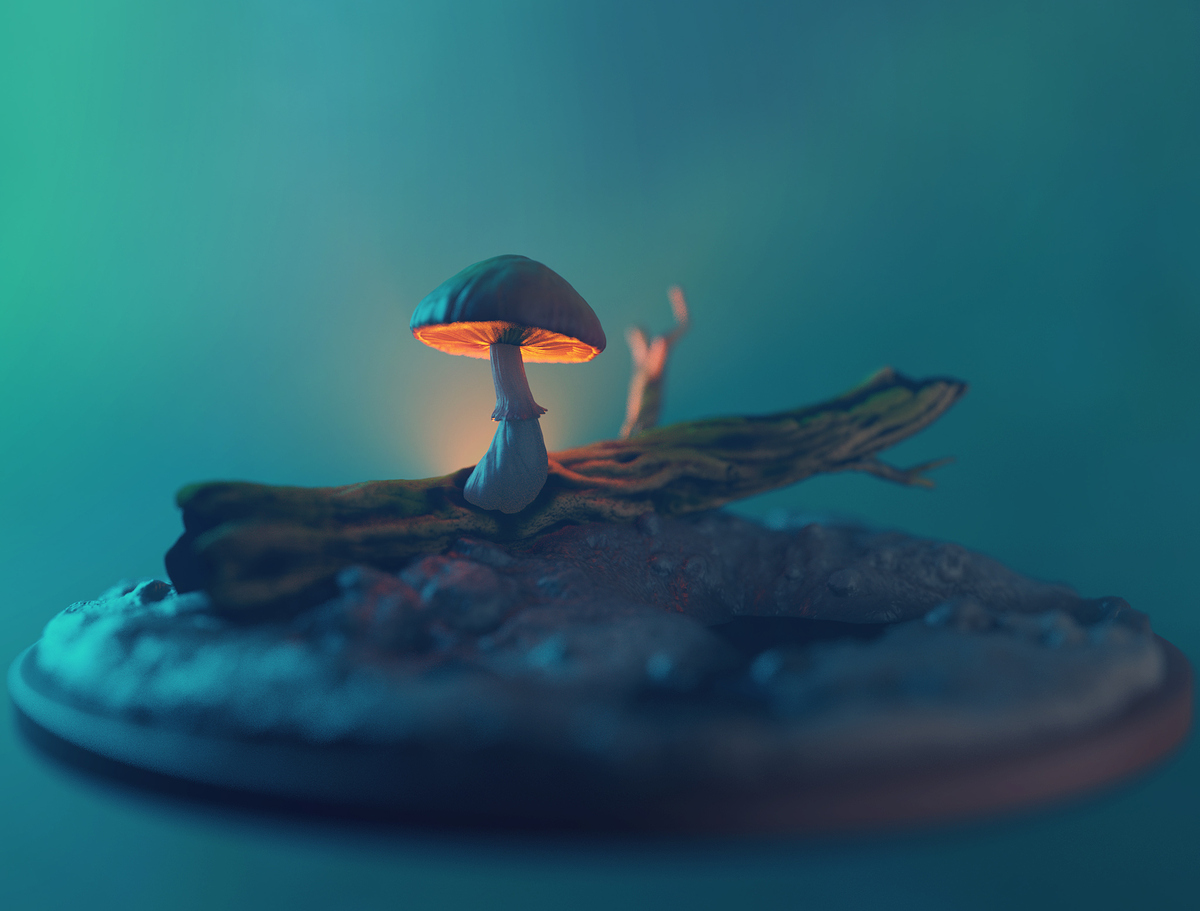 mushroom_1001