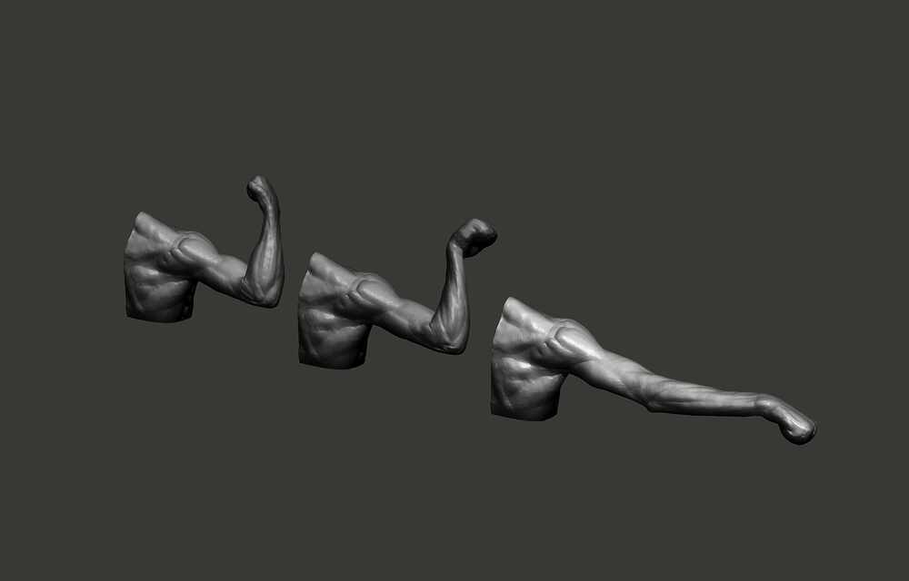 Arm_03_ZB_q3_back