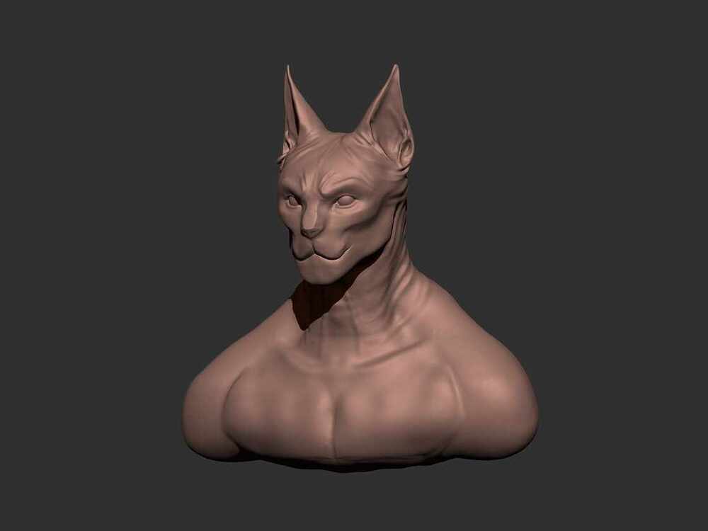 left cat