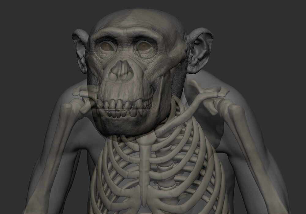 model_05