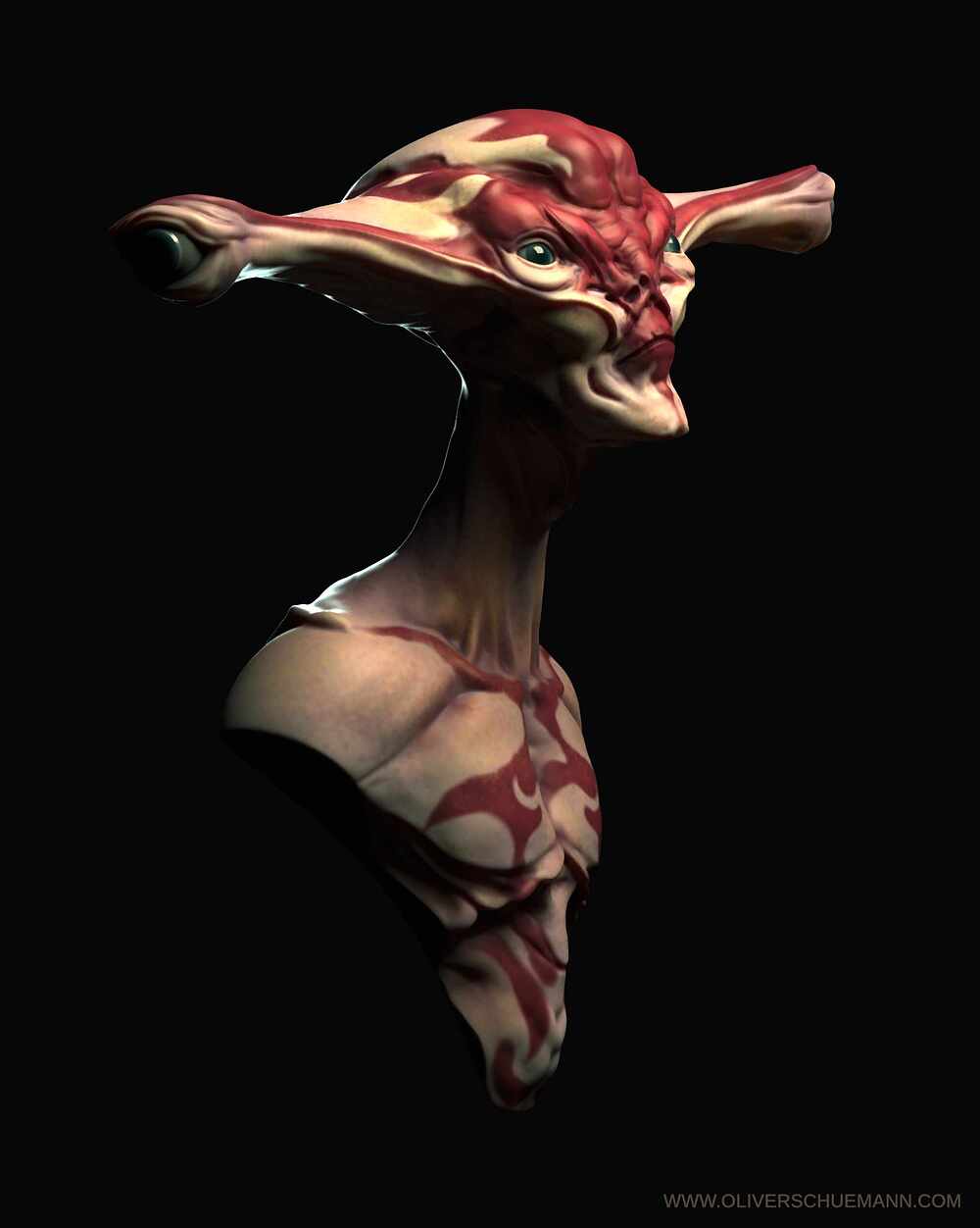 Bust_redesign02