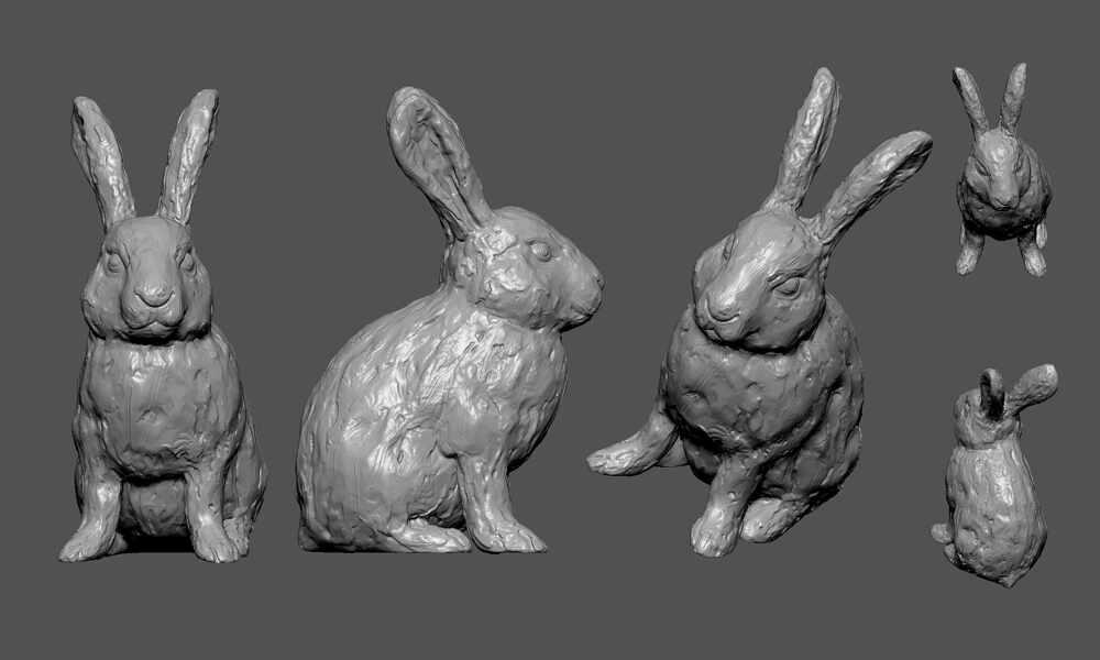 rabbit1