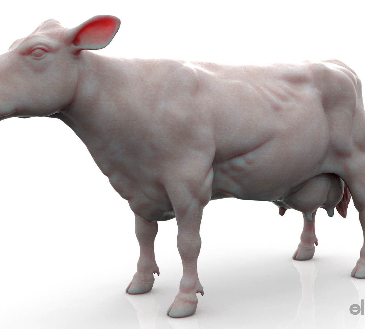 Cow_Model04.jpg