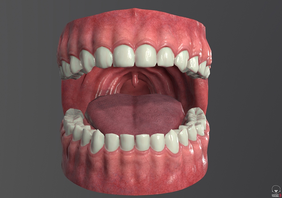 Toolbag_screenshot_03