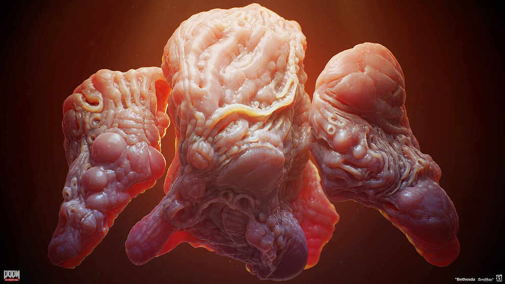 organs_05