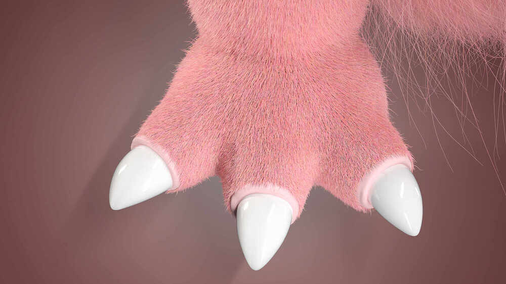 wip_0009_0004